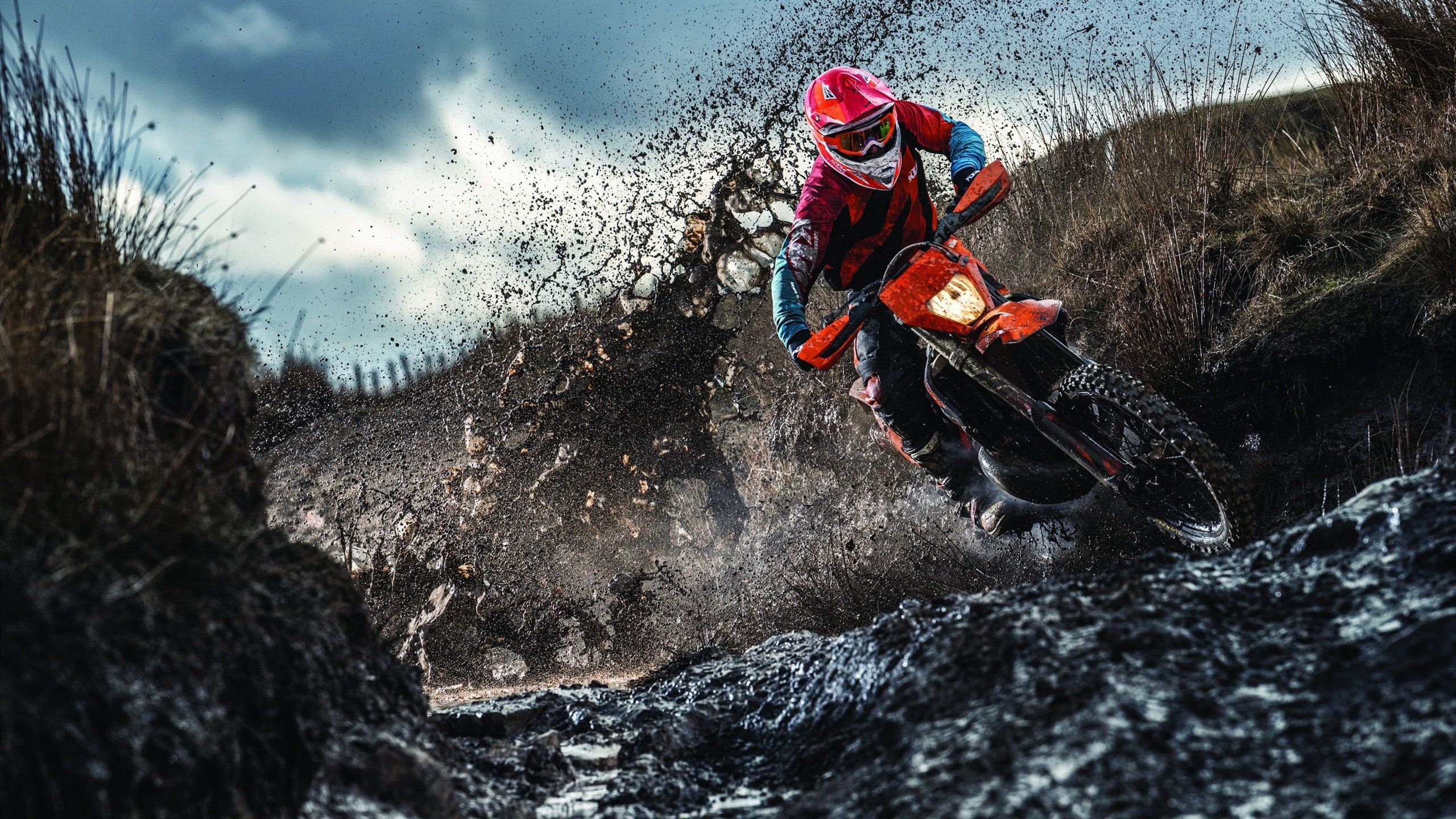 张雨霏突破自我刷新个人最好成绩，张雨霏如何走向巅峰