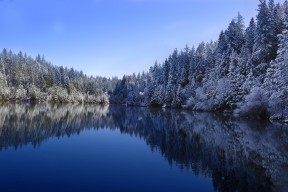 爱游戏体育app-“德甲冠军悬念临近，领跑队伍状态火热”，德甲冠军次数排名最新